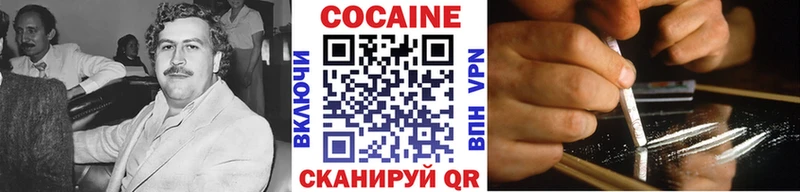 где продают наркотики  Шенкурск  COCAIN 97% 