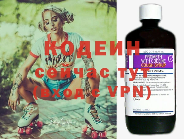 спиды Гусев