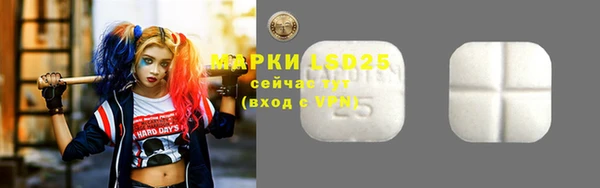 индика Хадыженск