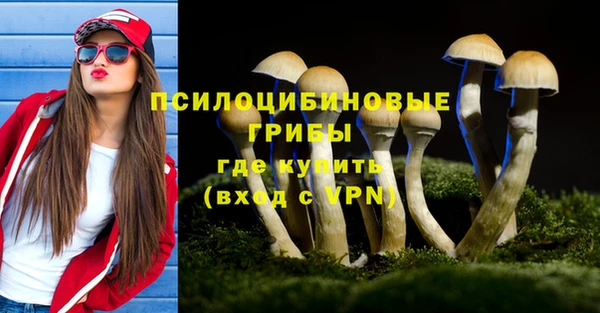 мескалин Гусиноозёрск