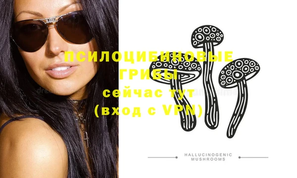 спиды Гусев
