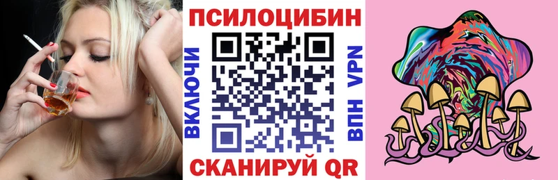 купить   Шенкурск  Галлюциногенные грибы мухоморы 