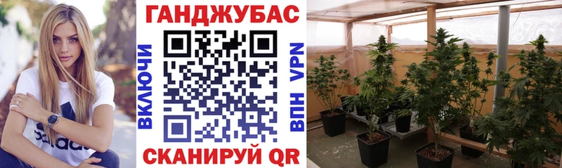 Канабис Bruce Banner Шенкурск